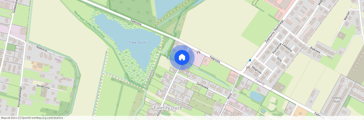 Falenty Duże, Raszyn, pruszkowski, mazowieckie