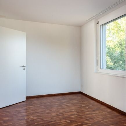 Vie moderne et lacustre - Votre recherche s’arrête ici - Photo 1