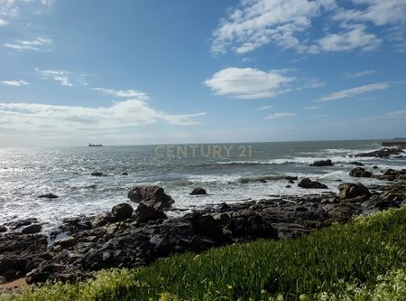 Aldoar, Porto - Photo 2