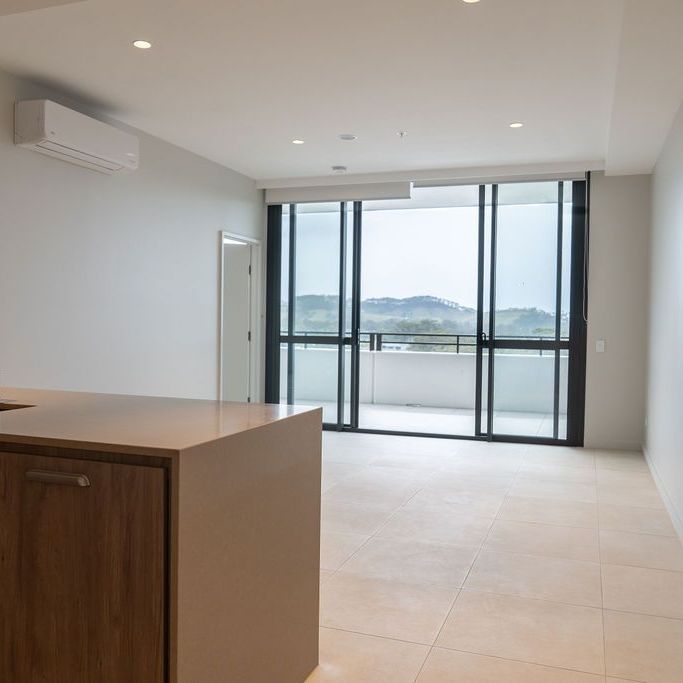 CODA 1101 - Ocean View Luxury - Photo 1