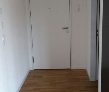 Rexmax - attrayant à tous points de vue - Photo 3