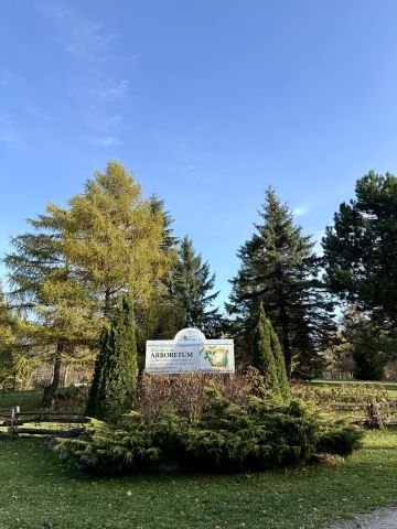 For Lease - 18 Hickory Street, Collingwood, Ontario - Photo 5