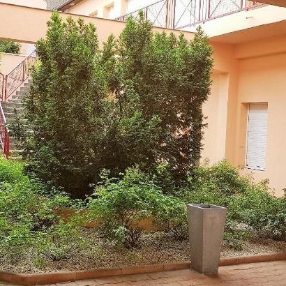 Location Appartement 1 pièce 22m² DIJON 21000 - Photo 4