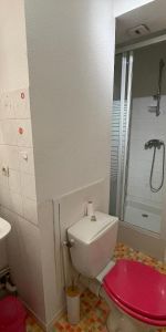 Location Appartement 1 pièce 20m² ANGERS 49000 - Photo 4