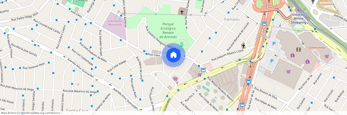 Avenida José Cleto, 291, Santa Cruz, Belo Horizonte, Minas Gerais, 31155290
