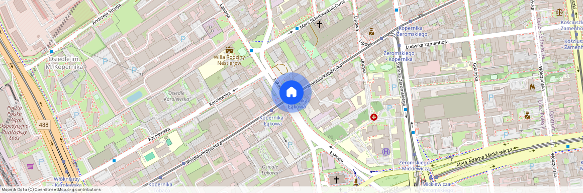 ul. Mikołaja Kopernika, Stare Polesie, Polesie, Łódź, łódzkie