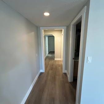 2 bed 2 bath pet friendly lower suite - Photo 4