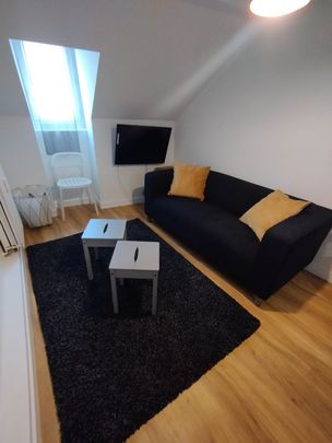 Appartement - 1 pièce - 16,83 m² - Laval - Photo 1