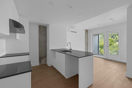 Appartement à louer - Montréal (Le Plateau-Mont-Royal) (Le Plateau-Mont-Royal) - Photo 4