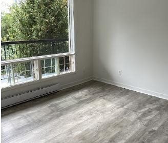 Immeuble - 525-533 Rue Cliff 3 ½ à Louer - Quartier Vieux-Nord - Photo 1