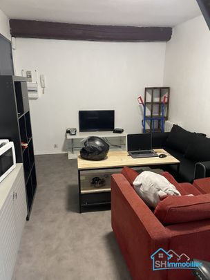 Location Appartement 2 pièces 45m² LILLE 59000 - Photo 1