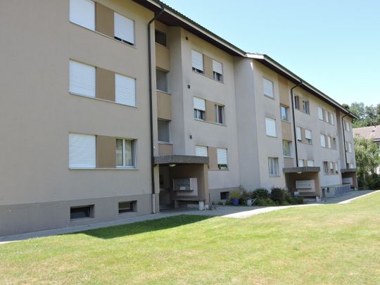 Wohnglück auf 2.5 Zimmern ideal für Singles & Paare! - Photo 1