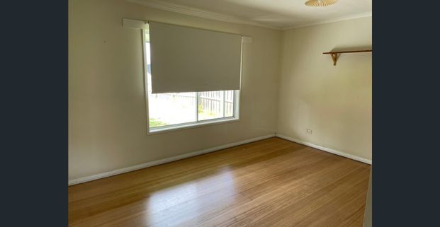 The Original Beach Shack! - Photo 1