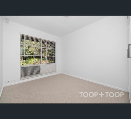8/6 Vailima Court, Hackney, SA 5069 - Photo 3