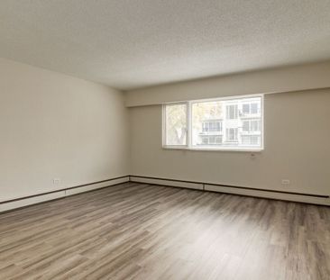 1 Bedroom - Photo 2