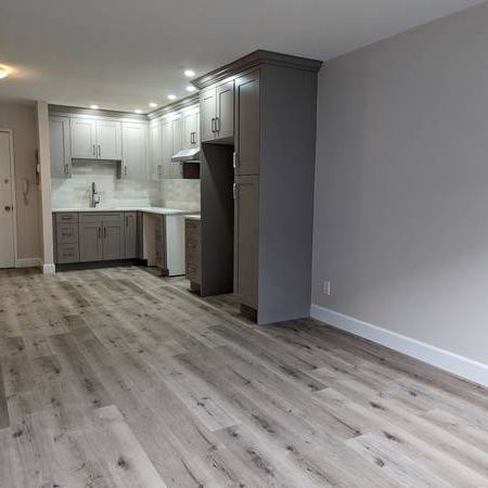 Exquisite, Newly Renovated Spacious Apartment in Ladner!! - Photo 1