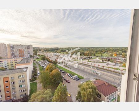 Szczecin - Zdjęcie 3