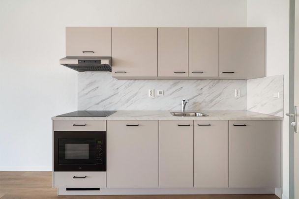 Te huur: Appartement Lise Meitnerhof in Leiden - Photo 1