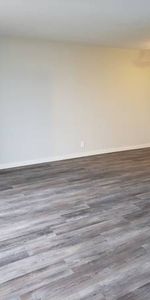 NEWLY RENOVATED 2 Bedroom + 1 Bath! Spacious and bright with VIEWS!!! - Photo 4