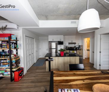 175 St-Vallier Est – Le Gecko - Photo 6