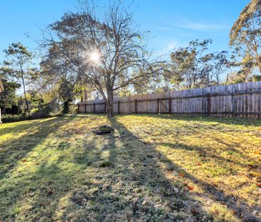 66 Duffy Street, Ainslie ACT 2602 - House For Rent | Domain - Photo 6