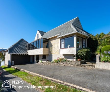 225 Larnach Road, Waverley - Photo 4