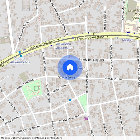 Timis, Timisoara
