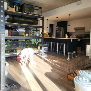 GRAND LOFT 3 1/2 - Photo 2