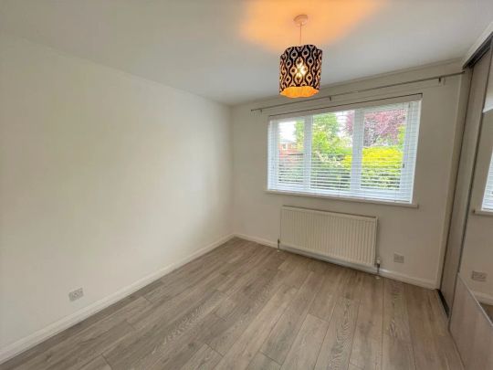 11 Sycamore Grove - Photo 1