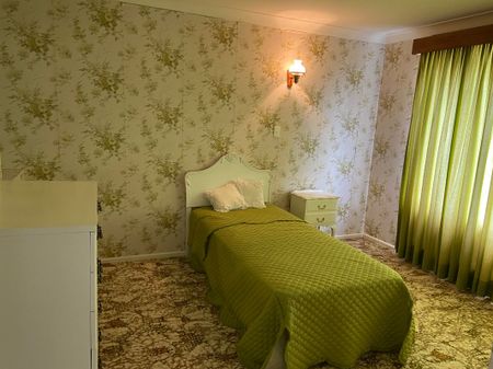 EXCELLENT OPPORTUNITY FOR STUDENT HOUSING or LARGE FAMILY HOME - Photo 5