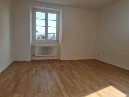 Erstvermietung nach Totalsanierung: wohnen mit Sicht auf die Birs - Foto 3