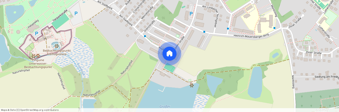 Prof.-Willkomm-Straße 4a, 09212 Sachsen - Limbach-Oberfrohna