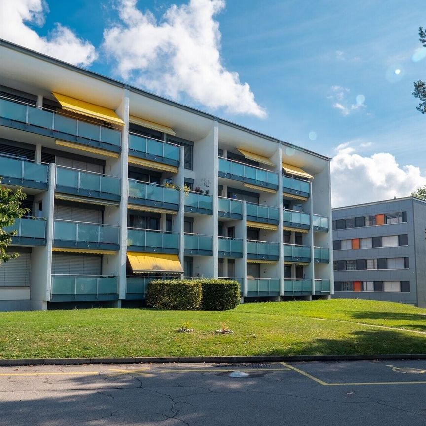 1.5 Zimmerwohnung in Düdingen zu vermieten! - Photo 1