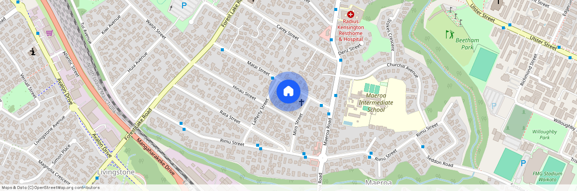 15A Matai Street, Maeroa, Hamilton City