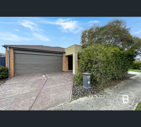 113 Edwards Street, Sebastopol, Vic 3356 - Photo 3
