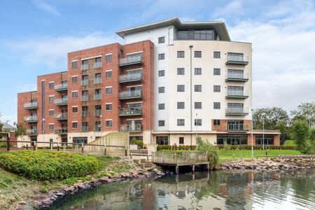 1 bedroom apartment to rent - Photo 4