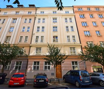 Pronájem bytu 1+1 66 m² - Photo 4