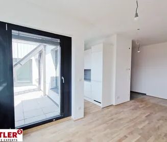 Extravagant - Dachterrasse - Wienblick - Foto 1