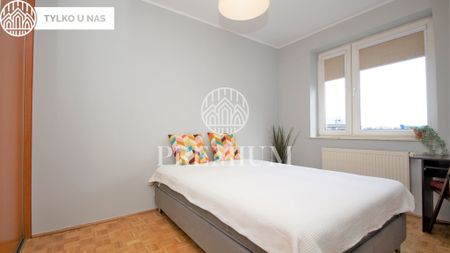 Karpacka - Фото 3