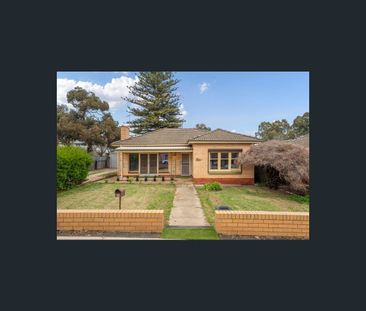 44 Balmoral ave, Magill, SA 5072 - Photo 2