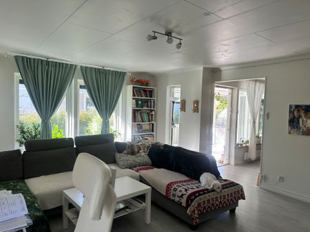 Dianastigen, Rimbo - Foto 2