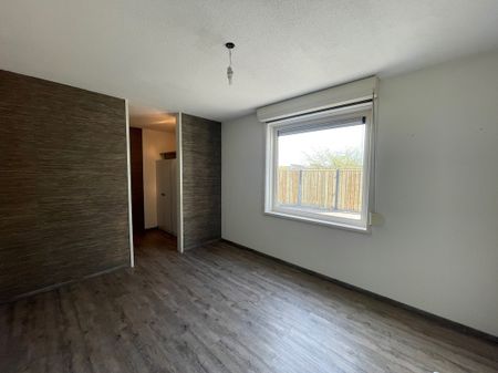 Schoener 12 29 - Photo 5
