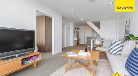 Two Bedrooms and One Bathroom in Auckland Central! PETS NEGOTIOBLE! FULLY FURNISHED! - Photo 4