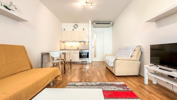 Pronájem bytu 1+kk a garsoniéry 29 m², Havlíčkovo náměstí , Praha - Photo 1