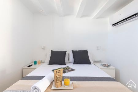 Penthouse with Private Terrace on Paseo del Born 24 - Photo 3