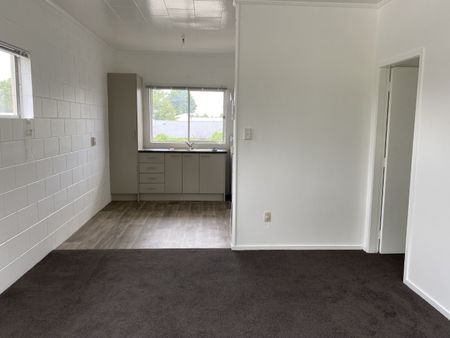 Tidy Flat in Hamilton East - Hamilton East - Photo 4