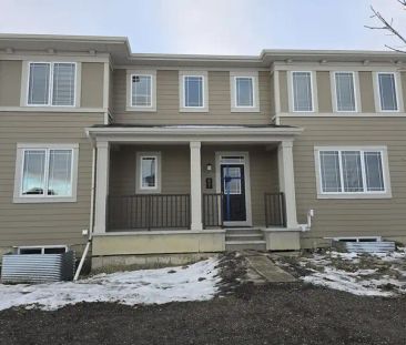 Modern 2-bedroom basement suite in Yorkville, Calgary | 431 Yorkvil... - Photo 1