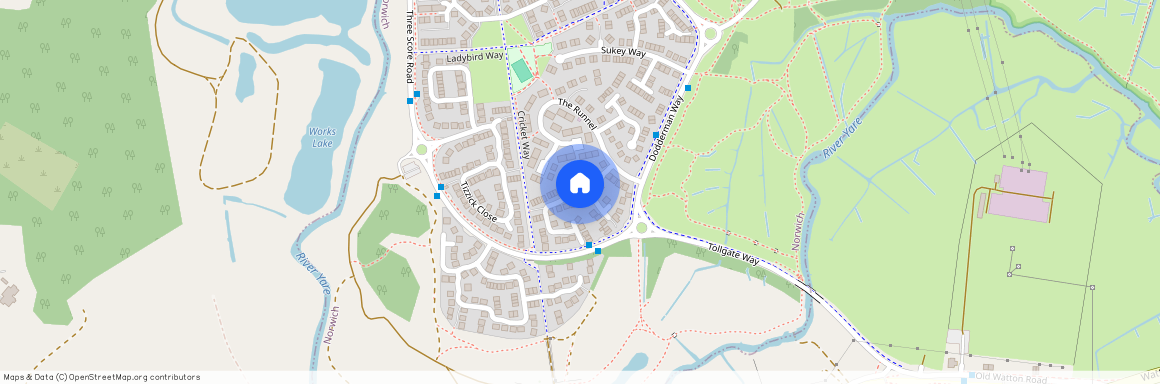Speedwell Way, Three Score, Norwich, NR5