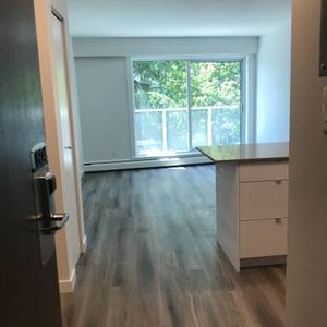 Renovated Junior 1BR Suite west of Denman available February 2025 - Photo 2