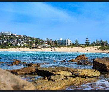 Quiet, Convenient and Full of Natural Light - Photo 4